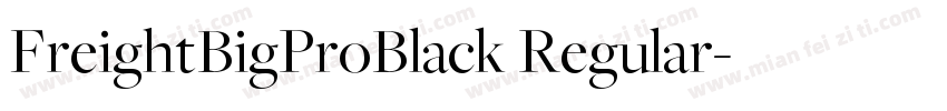 FreightBigProBlack Regular字体转换